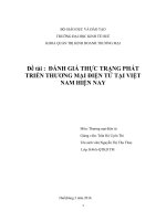 ĐÁNH GIÁ THỰC TRẠNG PHÁT TRIỂN THƯƠNG MẠI ĐIỆN TỬ TẠI VIỆT NAM HIỆN NAY