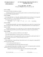 Đề thi học sinh giỏi tỉnh Nghệ An năm 2012 - 2013 môn Hóa lớp 12 Bổ túc THPT (Có đáp án)