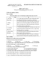 Đề ngữ văn 6 - đề kiểm tra, thi định kỳ học sinh giỏi tham khảo bồi dưỡng (55)