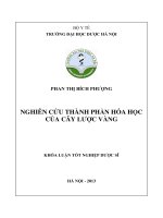 Nghiên cứu thành phần hóa học của cây lược vàng