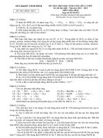 Đề thi học sinh giỏi lớp 12 THPT tỉnh Ninh Bình năm 2012 - 2013 (Lần 1) môn hóa