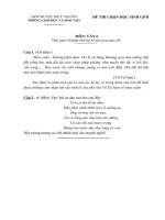 Đề ngữ văn 6 - đề kiểm tra, thi định kỳ học sinh giỏi tham khảo bồi dưỡng (104)