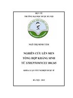 Nghiên cứu lên men tổng hợp kháng sinh từ streptomyces 180 245