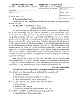 Tổng hợp đề thi học kì 2 lớp 5 được tải nhiều trong tháng 4 (4)