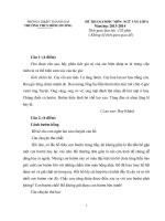 Đề ngữ văn 6 - đề kiểm tra, thi định kỳ học sinh giỏi tham khảo bồi dưỡng (95)