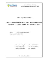 Hoàn thiện và phát triển hoạt động tiếp thị số tại CTY TNHH Ngọc Điệp