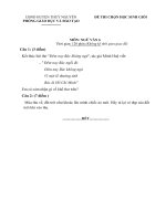 Đề ngữ văn 6 - đề kiểm tra, thi định kỳ học sinh giỏi tham khảo bồi dưỡng (118)