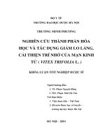 Nghiên cứu thành phần hóa học và tác dụng giảm lo lắng, cải thiện trí nhớ của mạn kinh tử (vitex trifolia l )