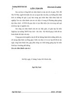 Biên soạn đề kiểm tra theo chuẩn kiến thức kĩ năng thuộc nội dung học kỳ 2 - Sinh học 11 chương trình chuẩn