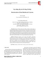 Bài báo khoa học  sự xuống cấp của bê tông