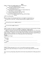 Đề thi học sinh giỏi Tiếng Việt 5 số 3