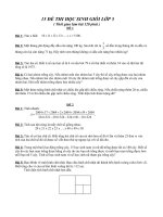 Đề thi lớp 5 - sưu tầm các đề kiểm tra, thi học sinh giỏi lớp 5 bồi dưỡng (47)