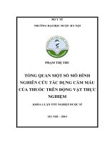 Tổng quan một số mô hình nghiên cứu tác dụng cầm máu của thuốc trên động vật thực nghiệm
