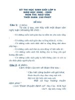 Đề tham khảo HSG lớp 9 môn ngữ văn năm 2008-2009