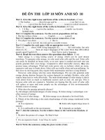 ĐỀ ÔN THI  LỚP 10 MÔN ANH SỐ  10