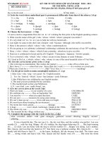 thi tuyển sinh lớp 10 môn tiếng Anh (Hà Nam 2010 - 2011)