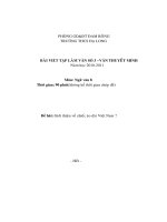 Đề văn lớp 8 - kiểm tra 15 phút, 45 phút tham khảo (10)