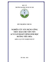 Nghiên cứu xây dựng công thức bào chế viên nén acyclovir kết dính sinh học đường tiêu hóa