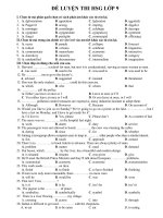 đề luyện thi HSG tiếng Anh lớp 9