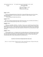 Đề thi học sinh giỏi môn Hóa học lớp 11 chọn lọc số 29