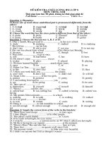 Đề anh 8 - sưu tập đề kiểm tra, thi học sinh giỏi tiếng anh 8 tham khảo bồi dưỡng  (96)