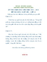 Đề thi HSG môn Ngữ văn 12 trường Ngô Sĩ Liên
