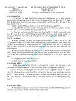 Đề thi học sinh giỏi môn Hóa học lớp 9 số 5