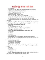 Đề văn 7 - sưu tầm đề kiểm tra, thi định kỳ học sinh giỏi môn văn bồi dưỡng (39)