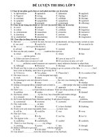 BỘ ĐỀ luyện thi HSG tiếng Anh lớp 9