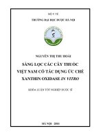 Sàng lọc các cây thuốc việt nam có tác dụng ức chế xanthin oxidase in vitro