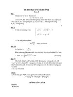 Đề thi học sinh giỏi Toán lớp 12 số 4