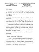 Đề văn lớp 8- sưu tầm đề kiểm tra, thi học sinh giỏi bồi dưỡng (55)