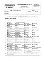 Đề thi học sinh giỏi môn Tiếng Anh lớp 10 chọn lọc số 4