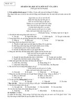 Đề văn lớp 8- sưu tầm đề kiểm tra, thi học sinh giỏi bồi dưỡng (137)