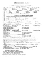 Đề anh 8 - sưu tập đề kiểm tra, thi học sinh giỏi tiếng anh 8 tham khảo bồi dưỡng  (100)