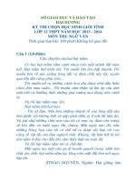 Đề thi Hsg cấp tỉnh Hải Dương năm 2013-2014 môn Ngữ Văn 12