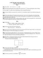 Đề thi lớp 5 - sưu tầm các đề kiểm tra, thi học sinh giỏi lớp 5 bồi dưỡng (49)