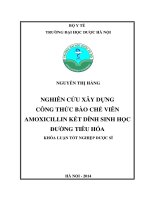 Nghiên cứu xây dựng công thNghiên cứu xây dựngxicillin kết dính sinh học đường tiêu hóa