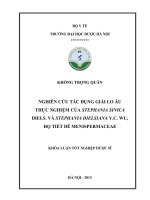 Nghiên cứu tác dụng giải lo âu thực nghiệm của stephania sinica diels  và stephania dielsiana y c wu, họ tiết dê menispermaceae
