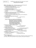 Đề văn lớp 8- sưu tầm đề kiểm tra, thi học sinh giỏi bồi dưỡng (139)