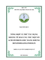Tổng hợp và thử tác dụng kháng tế bào ung thư một số acid hydroxamic mang khung benzimidiazol và indolin