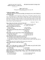 Đề văn 7 - sưu tầm đề kiểm tra, thi định kỳ học sinh giỏi môn văn bồi dưỡng (1)