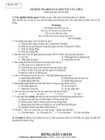 Đề văn lớp 8- sưu tầm đề kiểm tra, thi học sinh giỏi bồi dưỡng (136)