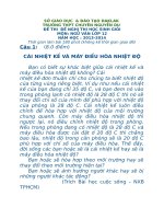 Đề thi Hsg môn Ngữ văn 12 trường chuyên Nguyễn Du