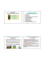 Slide bài giảng môn văn hóa kinh doanh: Chương 4: Văn hóa kinh doanh quốc tế