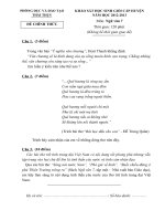 Đề văn 7 - sưu tầm đề kiểm tra, thi định kỳ học sinh giỏi môn văn bồi dưỡng (75)