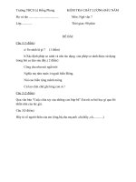 Đề văn 7 - sưu tầm đề kiểm tra, thi định kỳ học sinh giỏi môn văn bồi dưỡng (81)