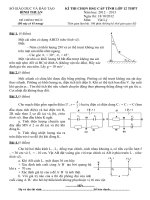 Tuyển tập đề thi HSG môn vật lý lớp 12 hay nhất  (95)