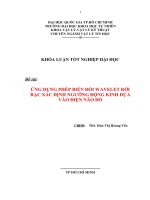 Ứng dụng phép biến đổi Wavelet rời rạc xác định ngưỡng động kinh dựa vào điện não đồ
