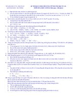 Đề thi học sinh giỏi môn Hóa học lớp 10 số 3